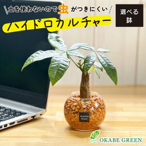 ϗtA nChJ`[ pL IW[ICg ygȂ ~j ϗt a hV Mtg v[g S   JXj    CeA 