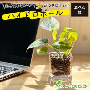 yXSi2w10OFFN[|zzz ϗtA nCh{[ nChJ`[ |gX yȂ ~jϗt a hV Mtg v[g S   JX