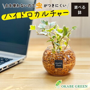 ϗtA nChJ`[ ACr[ IW[ICg ygȂ ~j ϗt a hV Mtg v[g S   JXj    CeA 