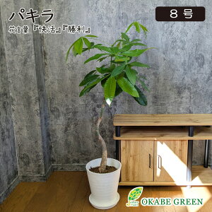 ϗtA ^ pL Ȃ 8 ZA[g bsO  A j a hV Mtg v[g hV zj Vzj CeA  [7]