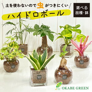 ϗtA nCh{[ nChJ`[ yȂ Iׂi ~jϗt pL KW}̖ TXxA e[uV lIQA a hV Mtg v[g S 