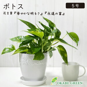 ϗtA |gX 5 Iׂi O[ Xe[^X bsO KN픫 Mt A lC  A lC j a hV Mtg v[g JXj 蕨 Ce