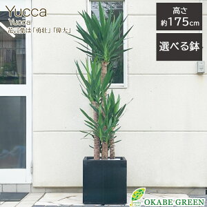 yN[|zzz ϗtA ^ bJ 10 Iׂ锫Jo[ d̂AeB[N̔Jo[ Jo[ bsO  ^ A j zj Vzj 