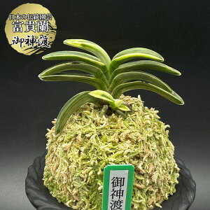 xM   _n I~^ 2{ yiz t758 tEL tE 