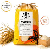 楽天市場】ヒノヒカリ 七城の通販
