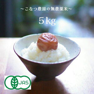 yVāzL@͔|āyJASz 5kg y_Ew엿sgpzF{YX̂܂5kg@@5kg@4.5kg@Â