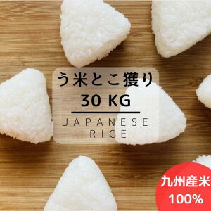 �� 30kg �u�����h�� �������� ��B�Y�ā@�ߘa7�N�Y�g�p�@���ĂƂ��l��@����30kg�y���������z�y��B�Y�@�āz�󂠂�ā@����30kg�y�� 30kg ���������z�y���� 30kg ���������z�����Y100���̌��� ��