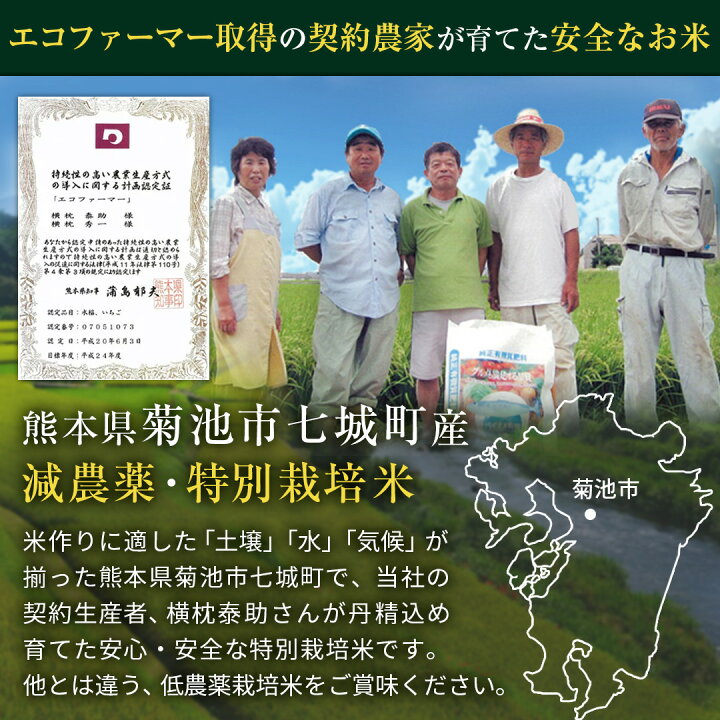 楽天市場】分づき選択可【五ツ星お米マイスター厳選】米 30kg 送料無料 