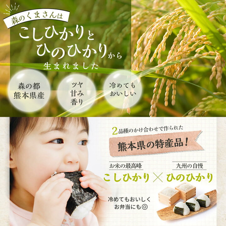 楽天市場】米 30kg 送料無料☆選べる精米☆7年産熊本県産森のくまさん 