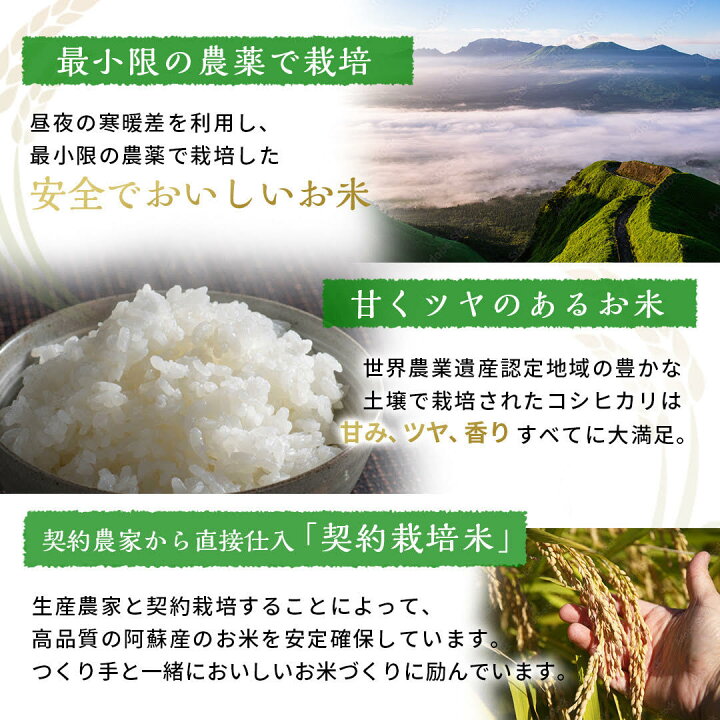 楽天市場】【米30kg 送料無料】令和7年産 熊本県阿蘇産ミルキー 