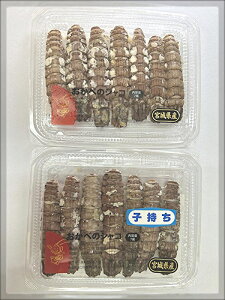 R1ő@ⓀY僀LVRq7+IX7@ɐHׂ܂[q][i][VR][u][אY][X][Mtg][Ɩp]