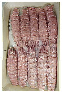 LVR20ܔ@110cm@ɐHׂ܂@[2`4lO]yƖpzyאYzyIXz