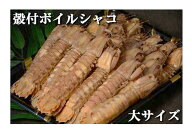 送料無料！ボイルシャコ冷蔵　殻付き大　1kg　【漁時期オス】【業務用】【おかべ水産】