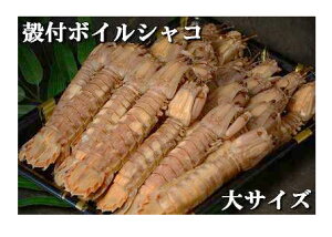 I{CVR①@kt@1kg@yIXzyƖpzyאYz