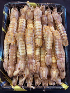 I₷ktu@TCYI1kg@{Cς݁yIXzyƖpzyאYz