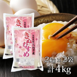【送料無料】令和6年産新米 産地直送 島根県産 きぬむすめ (2キロ×2袋 計4キロ) 2kg×2袋米 精米 お米 きぬむすめ ギフト ブランド米 2キロ 国産 国内産