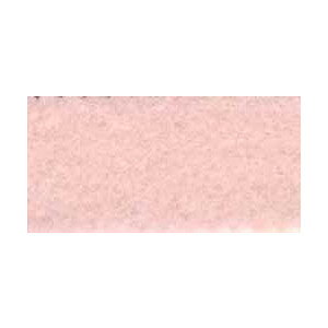 |ptFg ~j[200 110 06Bk99_