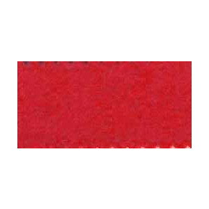 |ptFg ~j[200 113 06Bk99_