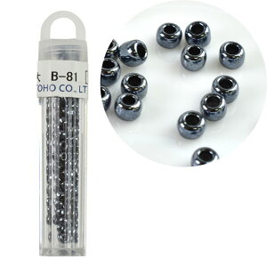 TOHO NC[r[Y ۑr[Y B-81 06Ad99_