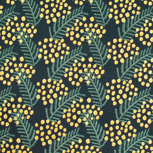 n kippis-LbsX- Mimosa ~U/V[`OiKPSj 80C.ubN 09Ac04j