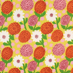 n kippis-LbsX- Daalia _A/IbNXiKPOj 93A.CG[ 09Ac04j