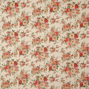 n cCvg u[PiKSP4326j D.Cgx[Wn×Ԍn 09Af16_