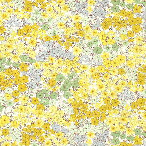 ���n �u���[�h�v�����g �p�X�e�����ԁiKTS3414�j C.�C�G���[ 09Af15_