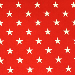 ���n �c�C���v�����g �����iKTS3681�j 11.��×�� 09Bk23_