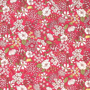 ���n �u���[�h�v�����g �n�t�P�F�ԁiKTS6097�j A.�s���N 09Af15_