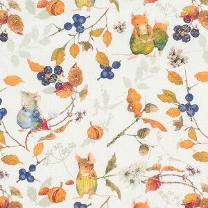 ���n acufactum-�A�N�t�@�N�g�D��- �w�b�W�E�}�E�X�iACU3523�j 738.�I�t 09Ac04_