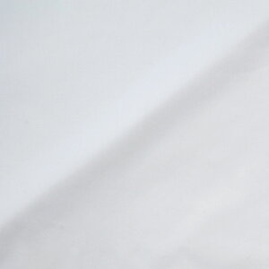 n 60ȃ[i174948j 10.AC{[ 09Bm28_