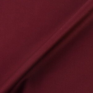 n 60ȃTei174940j 55.GW 09Bm28_