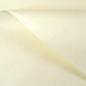 tFgn TtFGT 2mm 704.It 10Bm18_