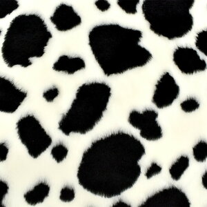 n Aj}{A/EVi9038j 2011./ 10Bn99_