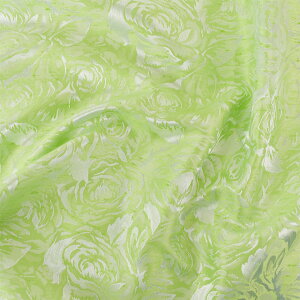 WK[hn Vu[[Y@i120101j 4.zCg×CgO[ 10Aa05_