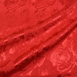 生地 ファンシージャガード(G1000) 12レッド 10Aa05_