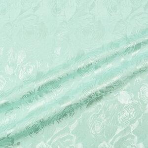 生地 ファンシージャガード(G1000) 19ミント 10Aa05_