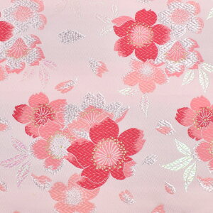 En lD i156-1881-2j sN 09Bh18_