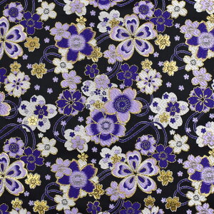 En lTr TNi155-2171-2j  09Bh18_