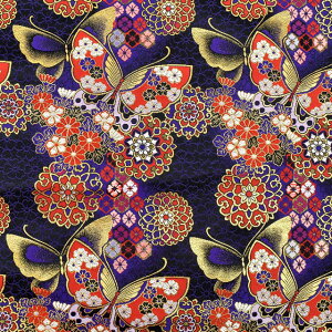 En lTr Xi155-8699-6j  09Bh18_