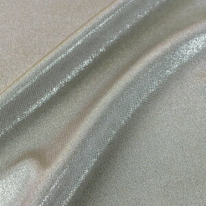 _X[p[Z[20%OFF^ n 2WAYtCXFoilHiP093j 3.O[×Vo[ 10Bl17_