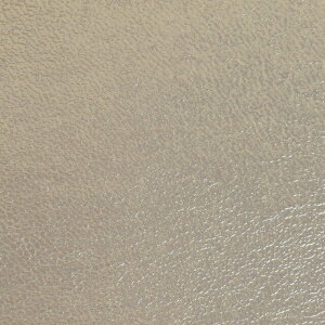 琶n VE\鍇iNFW-1010j 151.Vo[ 10Bn99_