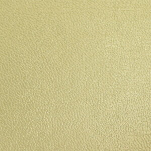 琶n VE\鍇iNFW-1010j 153.CgS[h 10Bn99_