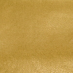 琶n VE\鍇iNFW-1010j 154.S[h 10Bn99_