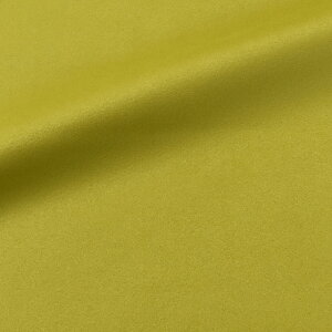 _Ԍ20%OFF^ 琶n THXG[hiAO-3j TH431.OXO[ 10Bn99_