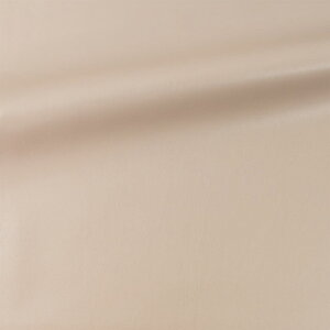 琶n tC}bgU[iF226j 10.x[W 10Bn99_