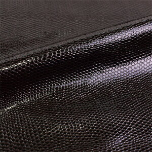 琶n New G.C.LUNAi4610j 2._[NuE 10Bn99_