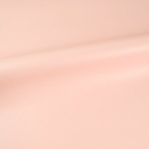 _Ԍ20%OFF^ 琶n K[hU[iGT-Sj 156.sN 10Ct33_