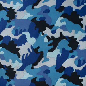 n iCvg ʁiSG163j C.u[ 10Ad06_