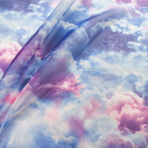 _Ԍ20%OFF^ n XJCI[KW[ i3060-F96151j 1013.Zn 10Bg10_